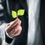 The value of sustainability in an industrial park