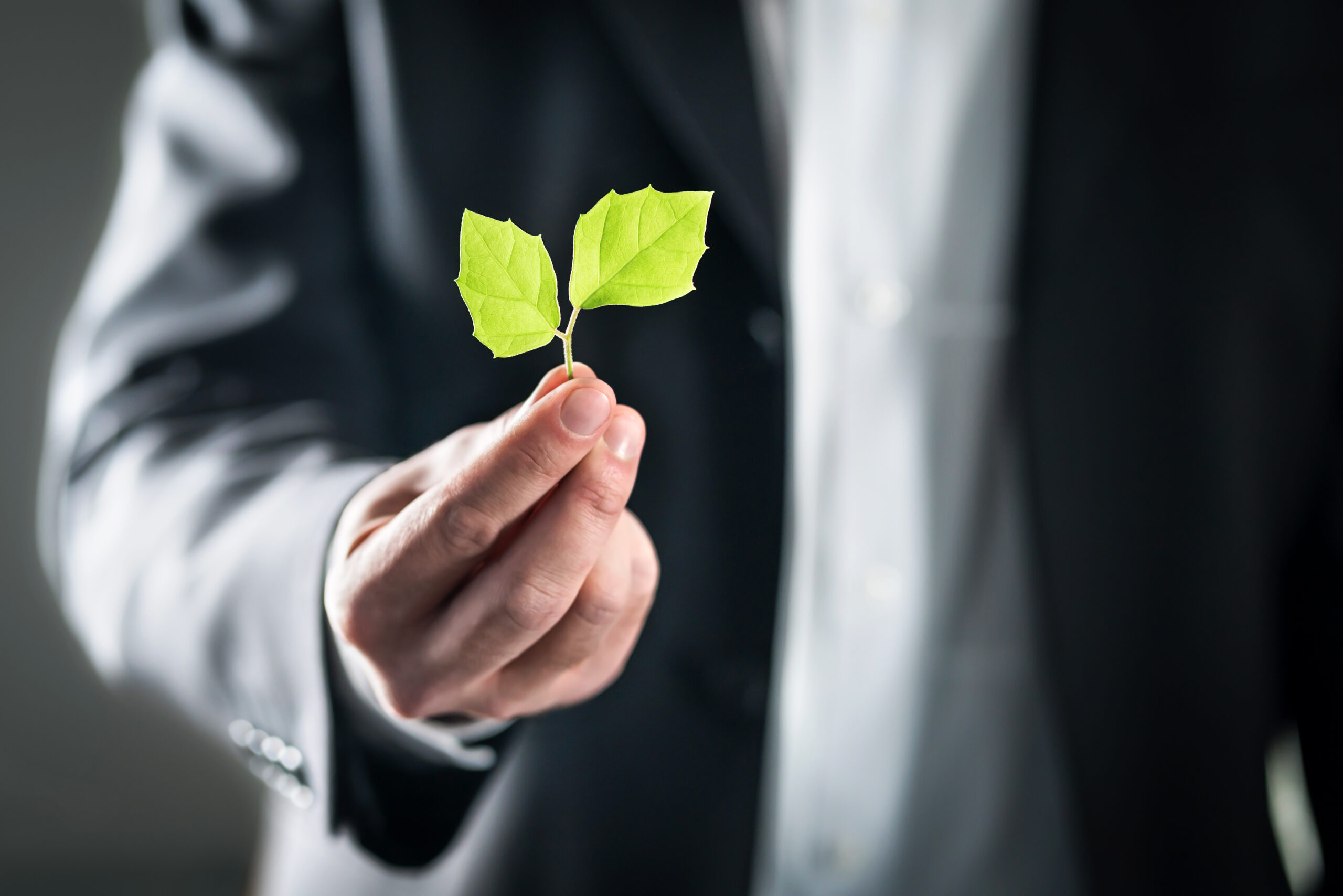 The value of sustainability in an industrial park